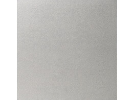 DALLE BETON ESSENTIAL 60x40x4 cm GRIS CLAIR