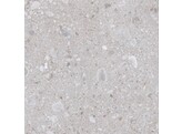 CERAMIC LINE 120x60x2 cm OMNIA CEPPO GRIS