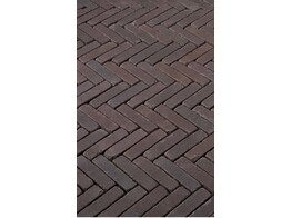 Briques en terre cuite vieillis WF65 Bolzano  Antica ZV/ZA 204x50x60 mm